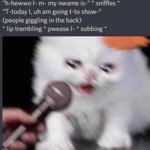 ѕтυғғ