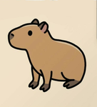 Cabybara clothes