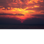 Gucci Sunset Kingdom™
