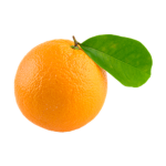 The Epic Orange Squad