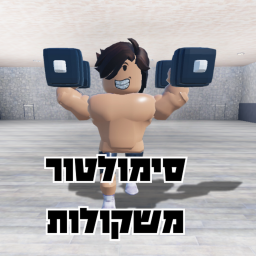 סימולטור מישקולות