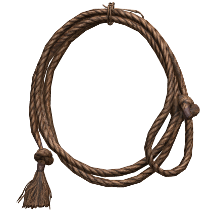 Worn Western Cowboy Lasso