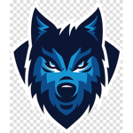 -[Blue Team]-