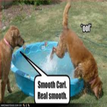 funny dog Roblox decal