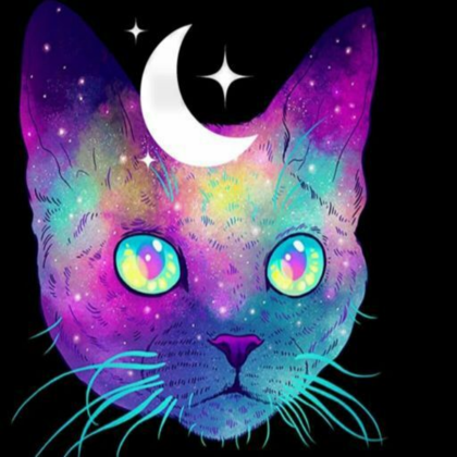 Cat Sky