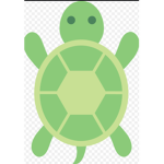 Turtle Rade