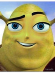 Bee x shrek
