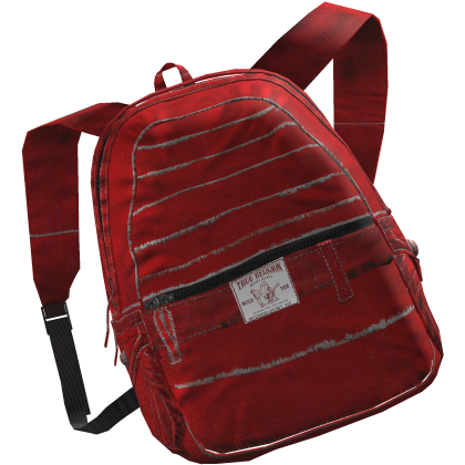 True Religion backpack 3.0