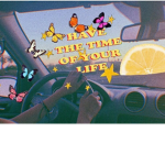 Happ¥ vib€s