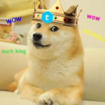 #Doge is the best