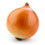 onion studios (OS)