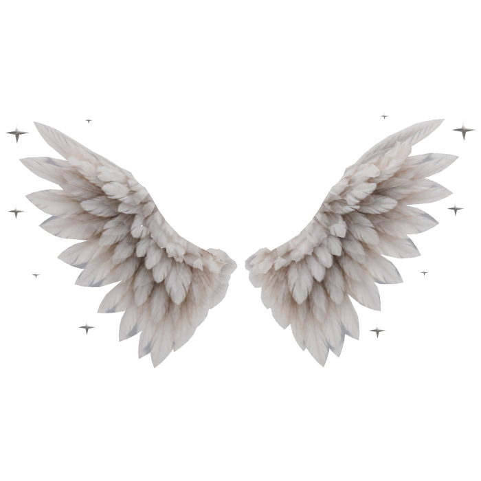 Celestial Angel Wings