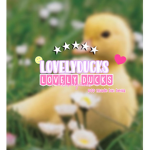 -LovelyDucks-