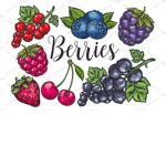 The Berry’s!