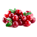 CRАNBERRIES