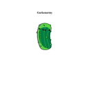 Grukenarmy :)
