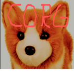 CORG group