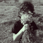 Noctivus