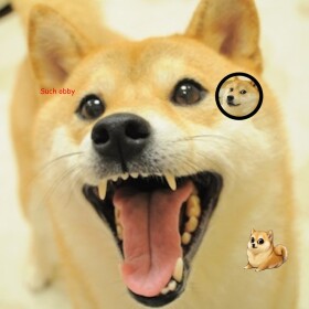 doge obby