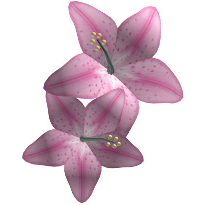 Tropical Hair Lily Flowers Pink | Roblox Item - Rolimon's
