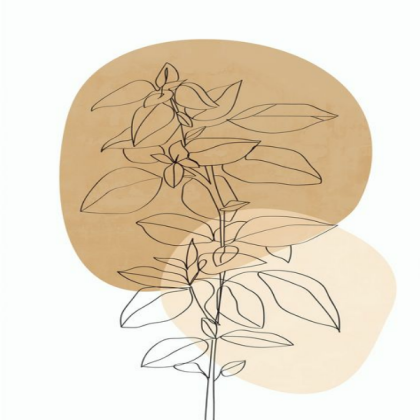 [MINIMALISTIC] Line Art Plant Roblox decal