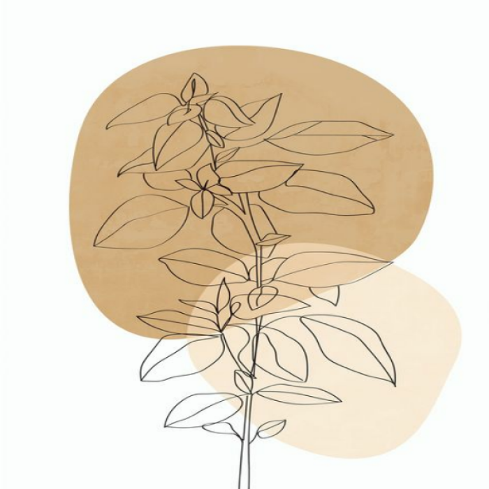 [MINIMALISTIC] Line Art Plant Roblox decal