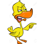 The Duck Comunity