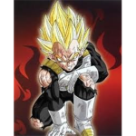 DBZ  VEGETA FANS