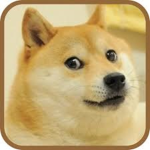 Doge_Military/Doge Group