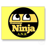Awesome Ninjas Of Roblox