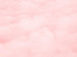 Pink Rebelss