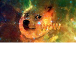 Doge Team PL