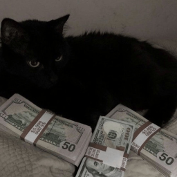 💸