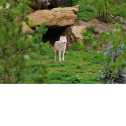 Den