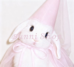 bunniShop