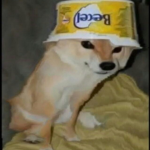 i like puppy and i love them