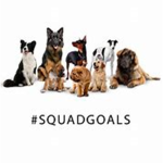 Puppy Fam Squad!!!