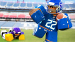 Fusion Football Macaws