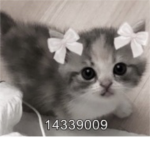 liaissokawaiixdlol