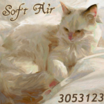 Soft Air