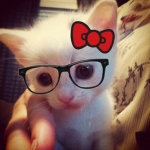 CAT00K