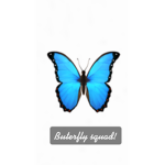 Butterfly squaddddddd