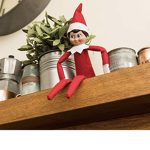 The elfs group