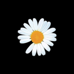 잼다(Jamda)그룹
