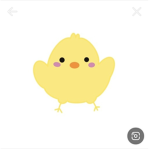 병아리의 하루 삐약삐야약