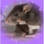 The Hamster Squad!!!!!!!