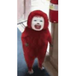 Do you like the mcrib