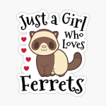 Ferret Fandom <3