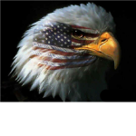 The United States of America Army(U.S.A.A)