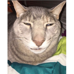 Mac_and_chesse